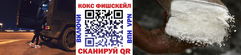 COCAIN Fish Scale  сколько стоит  Чистополь 