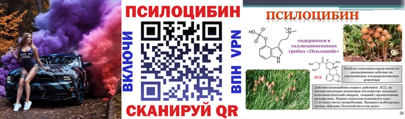 Галлюциногенные грибы Cubensis  Чистополь 